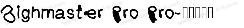 Signmaster Pro Pro字体转换